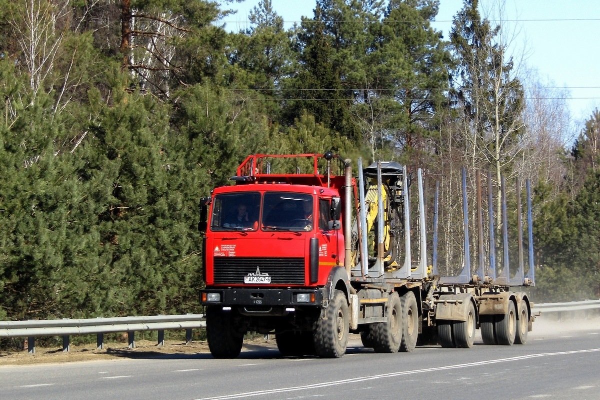 Могилёвская область, № АК 2647-6 — МАЗ-6317F9