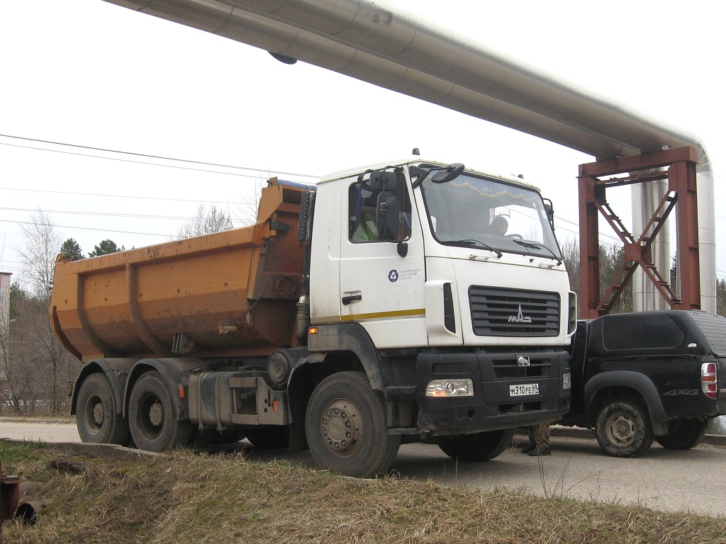 Тверская область, № М 310 РЕ 69 — МАЗ-6501B5