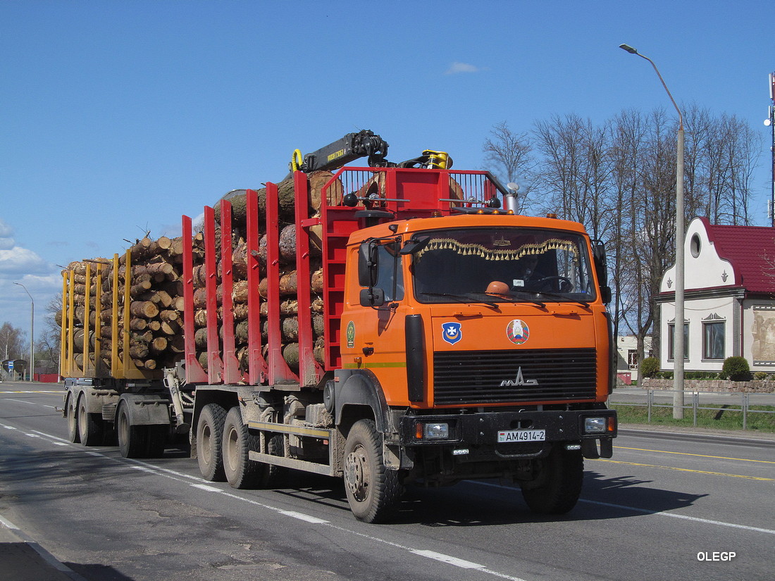 Витебская область, № АМ 4914-2 — МАЗ-6317 (общая модель)