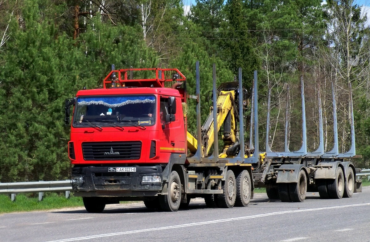 Могилёвская область, № АК 0221-6 — МАЗ-6312 (общая модель)