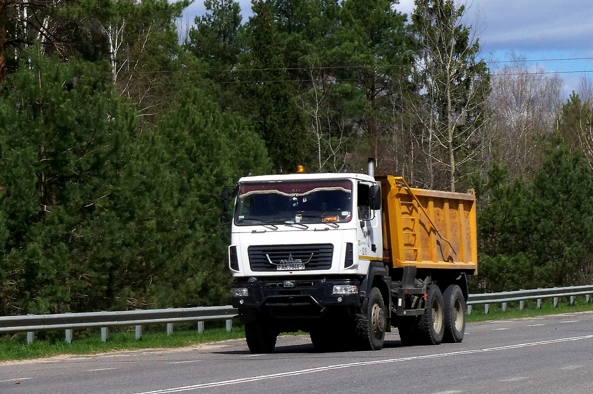 Гомельская область, № АК 7844-3 — МАЗ (общая модель)