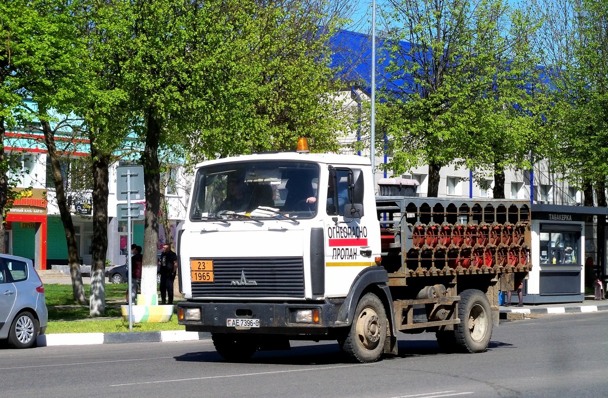 Могилёвская область, № АЕ 7396-6 — МАЗ-4570 (общая модель)