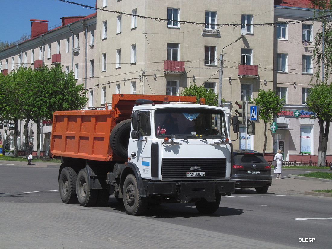 Витебская область, № АМ 5680-2 — МАЗ-5516 (общая модель)