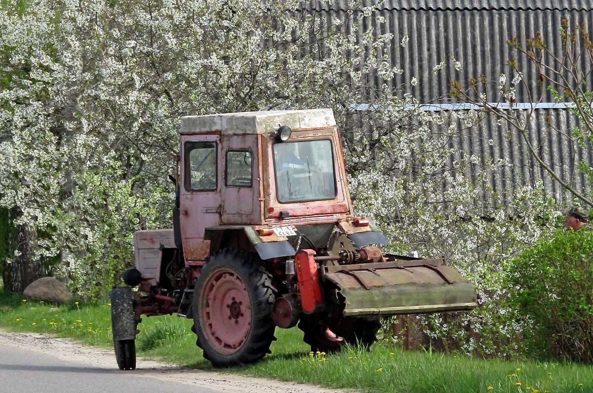 Могилёвская область, № IТ-6 4484 — Т-25 (общая модель)