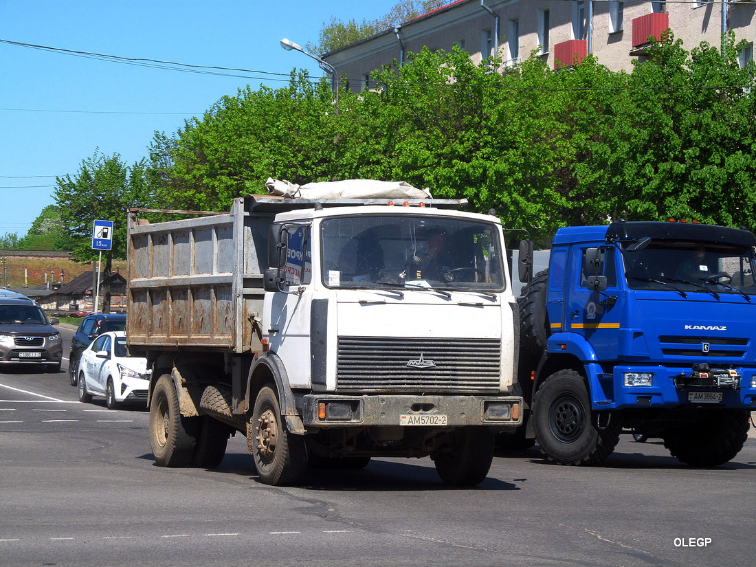 Витебская область, № АМ 5702-2 — МАЗ-5551 (общая модель)