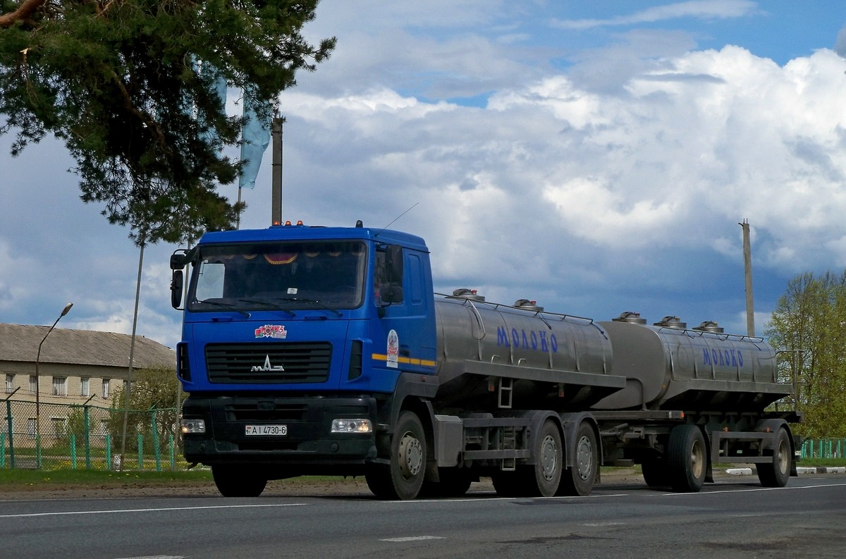 Могилёвская область, № АІ 4730-6 — МАЗ-6312 (общая модель)