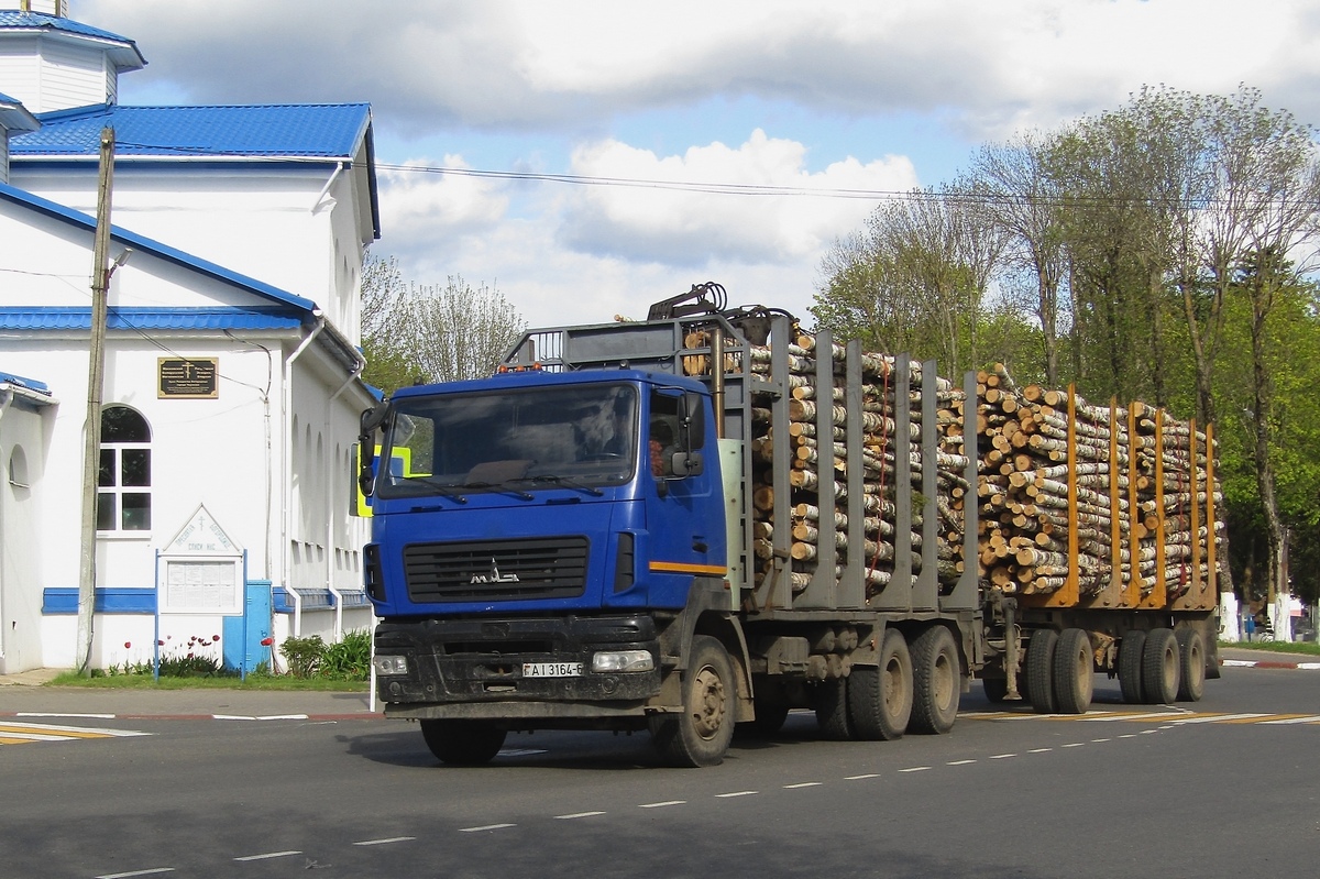 Могилёвская область, № АІ 3164-6 — МАЗ-6312 (общая модель)