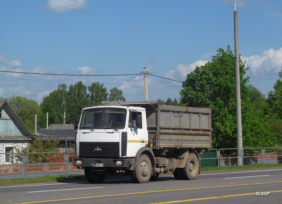 Витебская область, № АВ 8872-2 — МАЗ-5551 (общая модель)