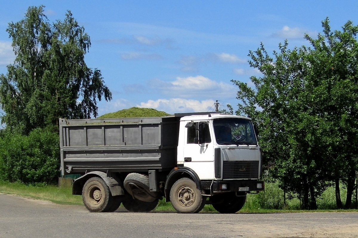 Могилёвская область, № АВ 5719-6 — МАЗ-5551 (общая модель)