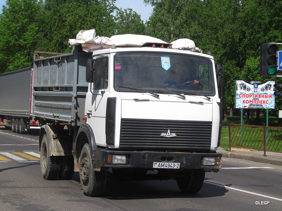 Витебская область, № АМ 4943-2 — МАЗ-5551 (общая модель)