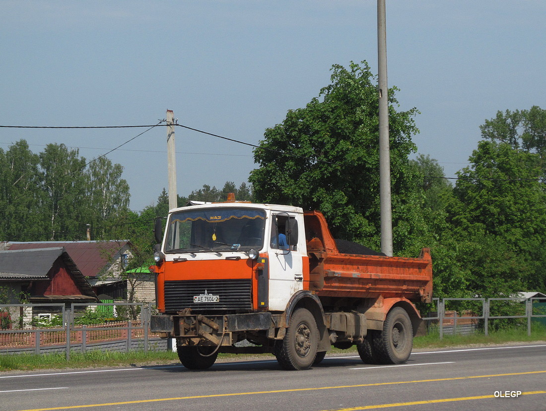 Витебская область, № АЕ 7604-2 — МАЗ-5551 (общая модель)