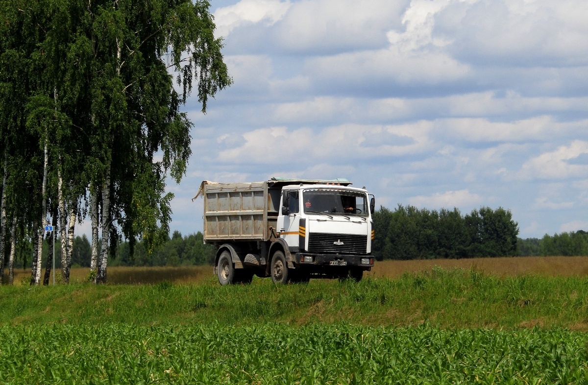 Могилёвская область, № АА 6301-6 — МАЗ-5551 (общая модель)