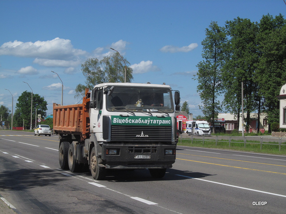 Витебская область, № АІ 1075-2 — МАЗ-6501 (общая модель)