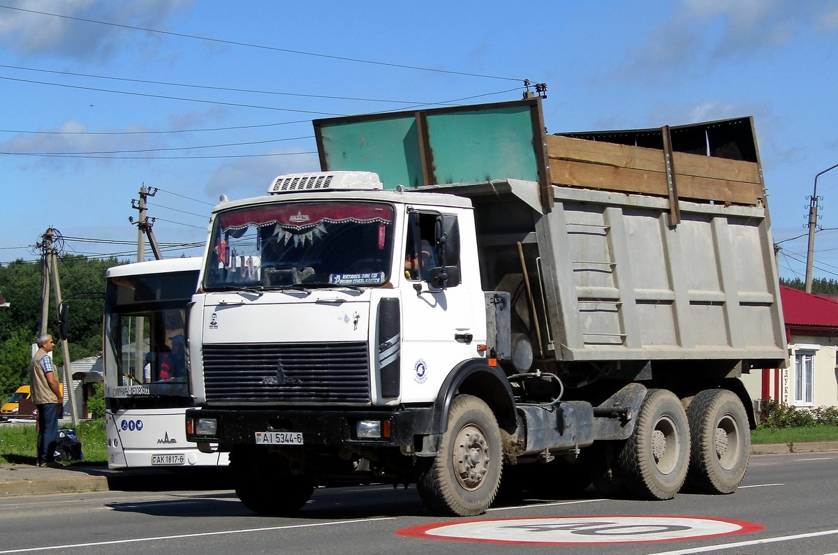 Могилёвская область, № АІ 5344-6 — МАЗ-5516 (общая модель)