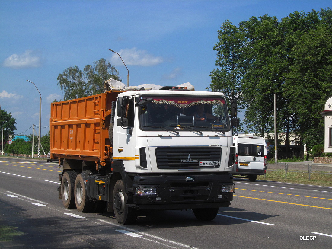 Витебская область, № АК 5979-2 — МАЗ-6501 (общая модель)