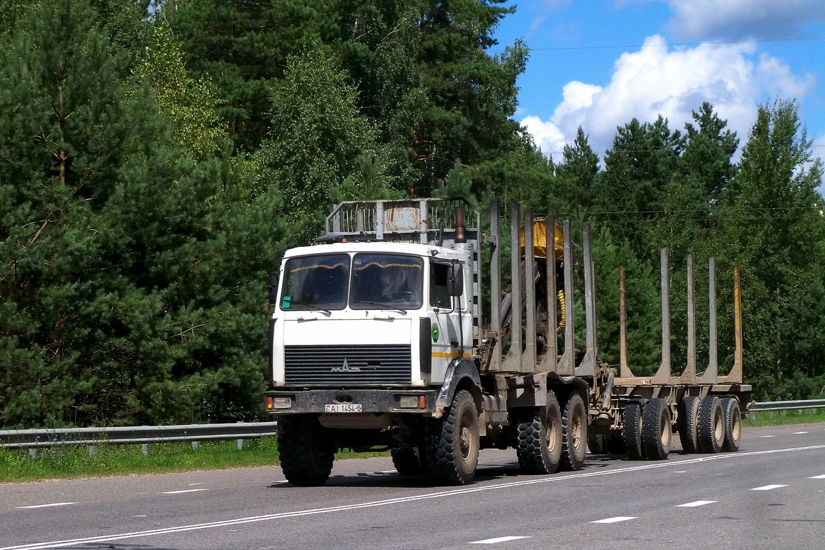 Могилёвская область, № АІ 1454-6 — МАЗ-6317 (общая модель)