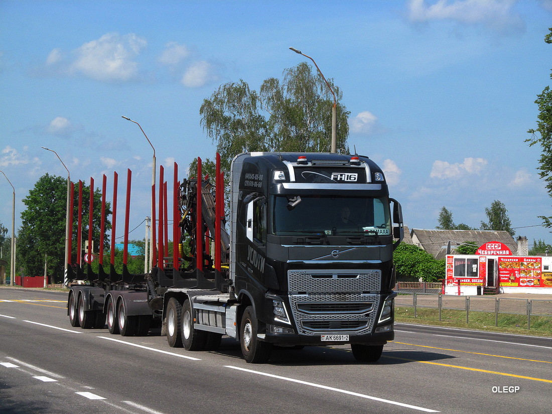 Витебская область, № АК 6691-2 — Volvo ('2012) FH16.600