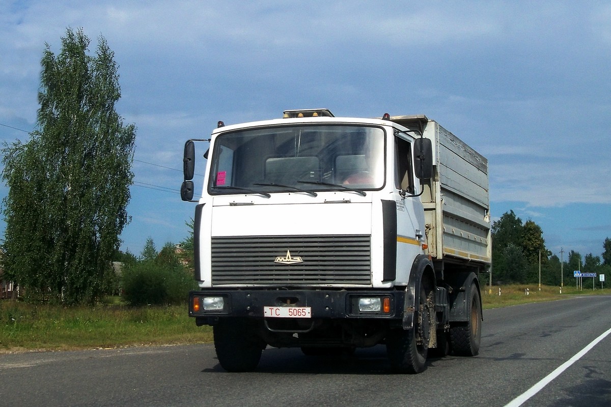 Могилёвская область, № ТС 5065 — МАЗ-5551 (общая модель)