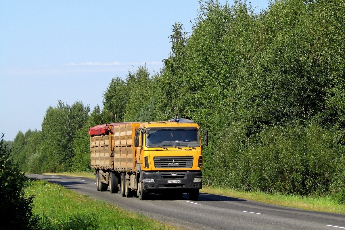 Могилёвская область, № АЕ 7379-6 — МАЗ-6501 (общая модель)