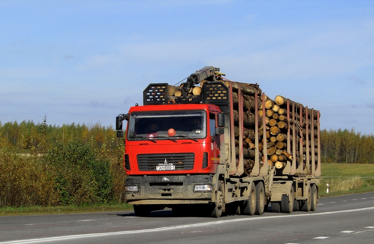 Брестская область, № АН 8050-1 — МАЗ-6312 (общая модель)