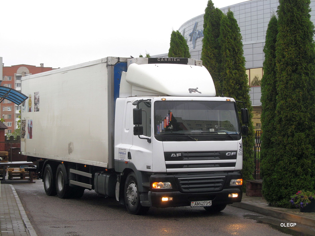 Минская область, № АМ 4273-5 — DAF CF85 FAS