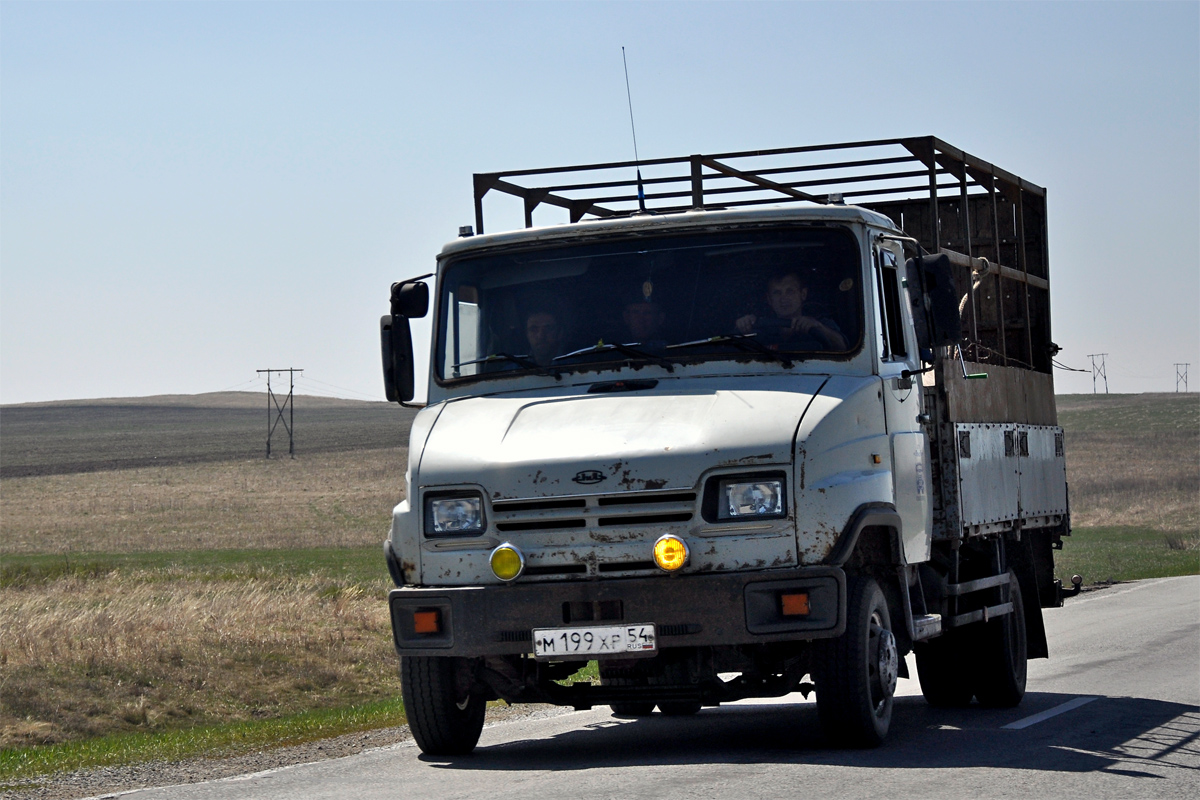 Новосибирская область, № М 199 ХР 54 — ЗИЛ-5301АО "Бычок"