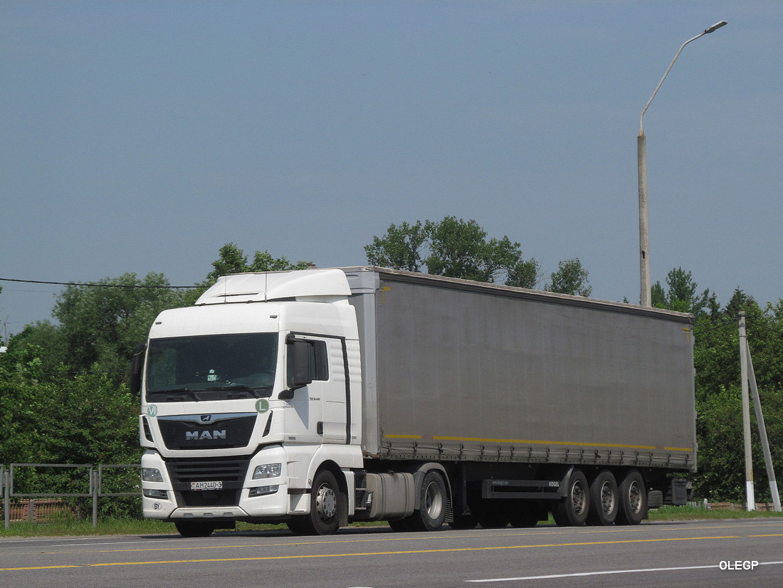 Гомельская область, № АН 2440-3 — MAN TGX ('2016) 18.460