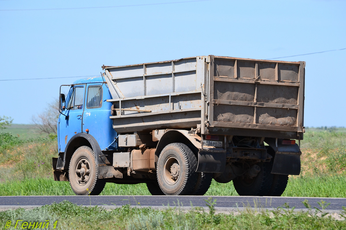 Волгоградская область, № Р 036 РО 34 — МАЗ-5549