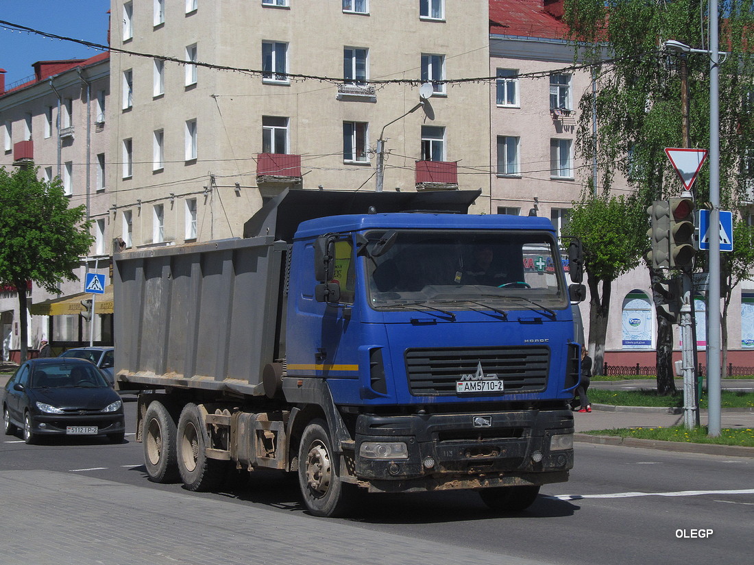 Витебская область, № АМ 5710-2 — МАЗ-6501 (общая модель)