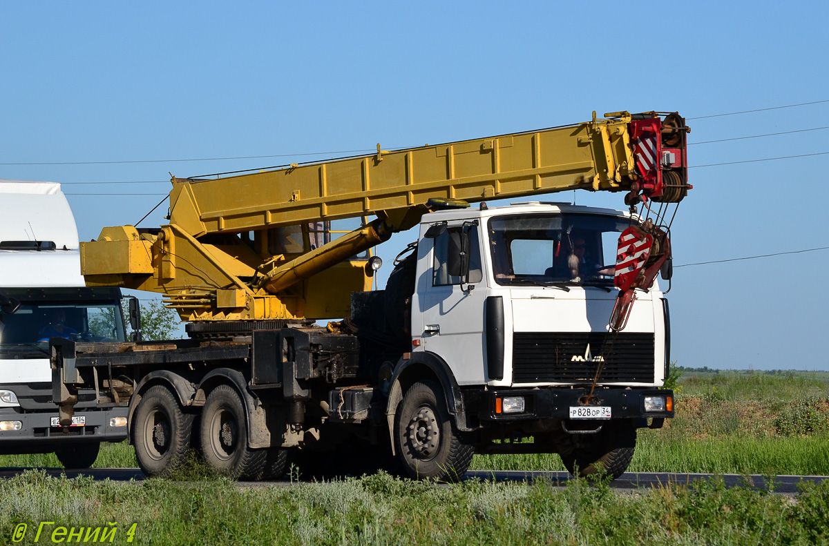 Волгоградская область, № Р 828 ОР 34 — МАЗ-630303