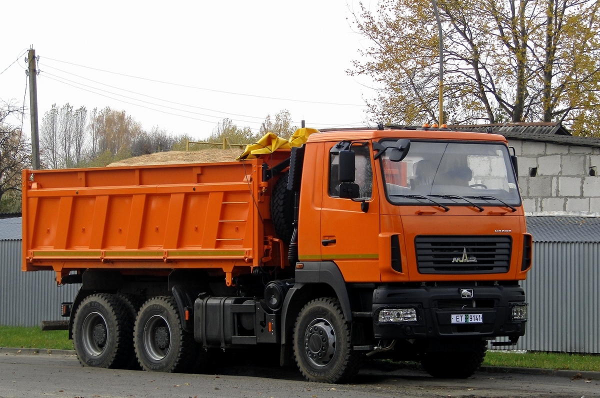 Могилёвская область, № ЕТ ВР 9141 — МАЗ-6501 (общая модель)