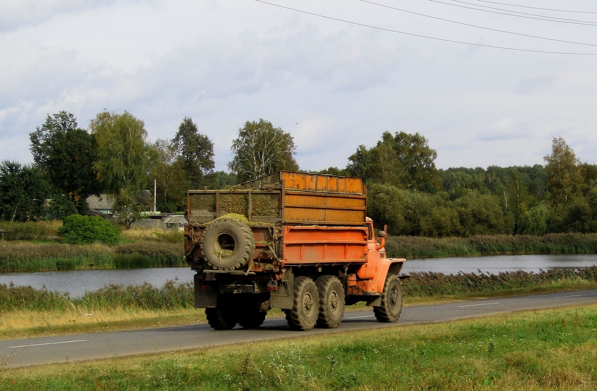 Могилёвская область, № ТЕ 8357 — Урал-5557