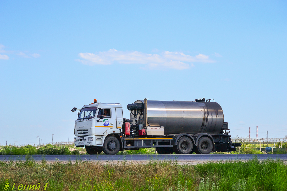 Волгоградская область, № В 353 ЕС 134 — КамАЗ-65115-A4