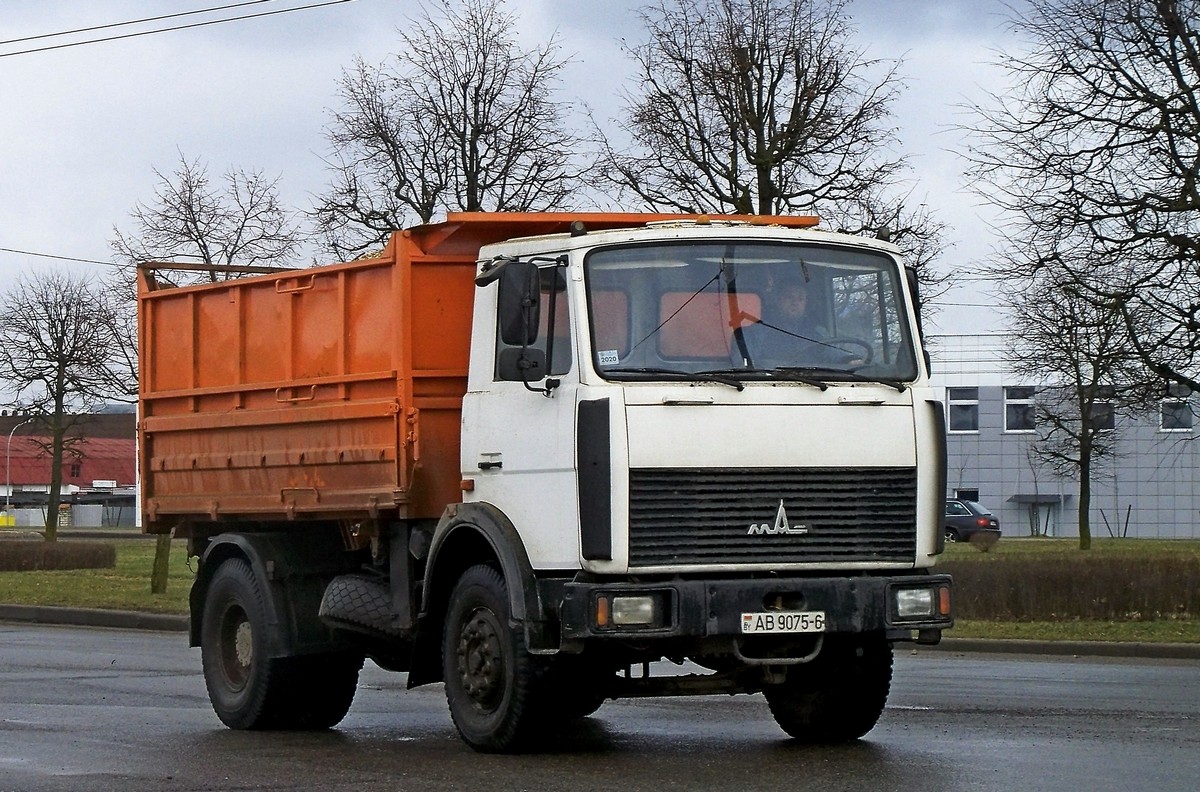 Могилёвская область, № АВ 9075-6 — МАЗ-5551 (общая модель)