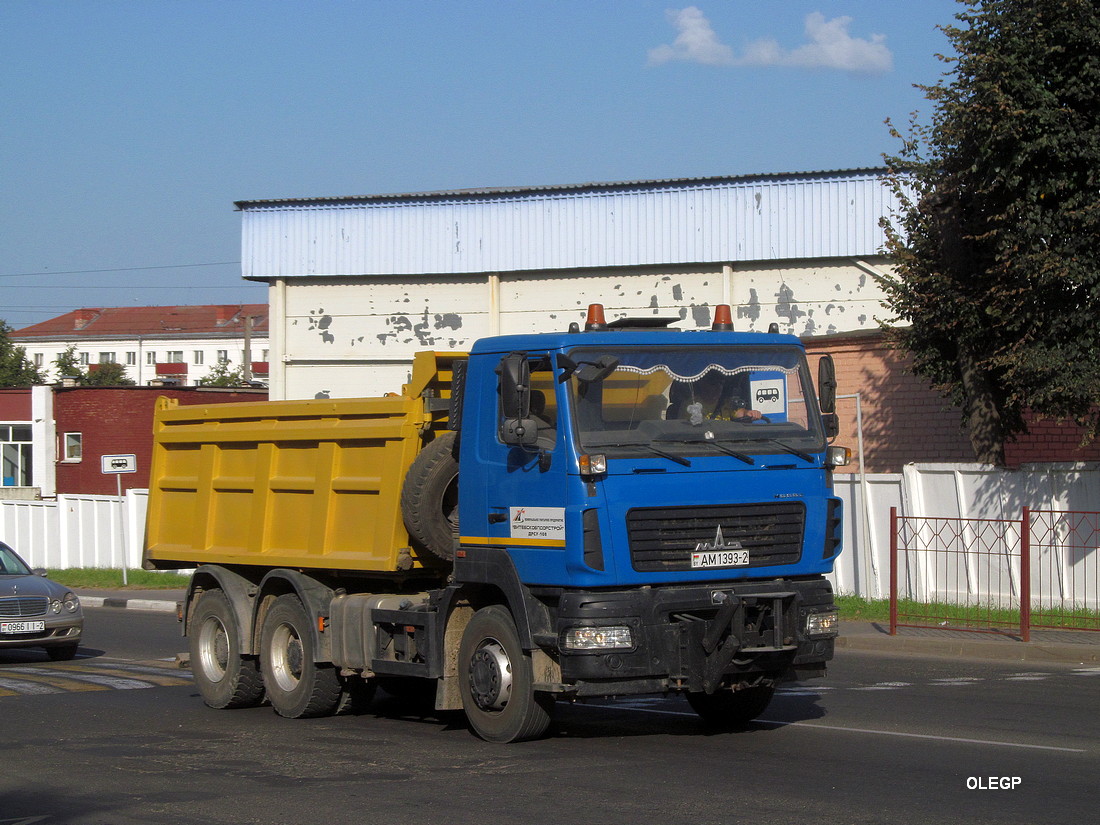 Витебская область, № АМ 1393-2 — МАЗ-6501C5