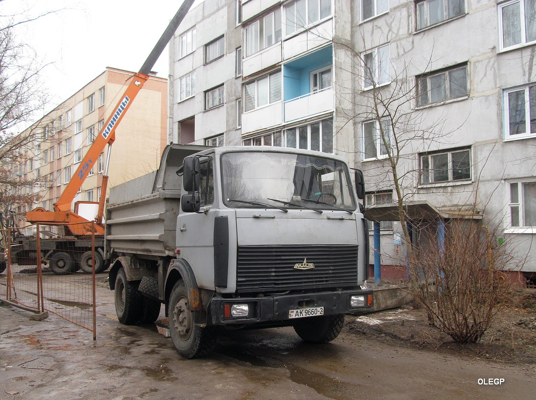 Витебская область, № АК 9660-2 — МАЗ-5551 (общая модель)