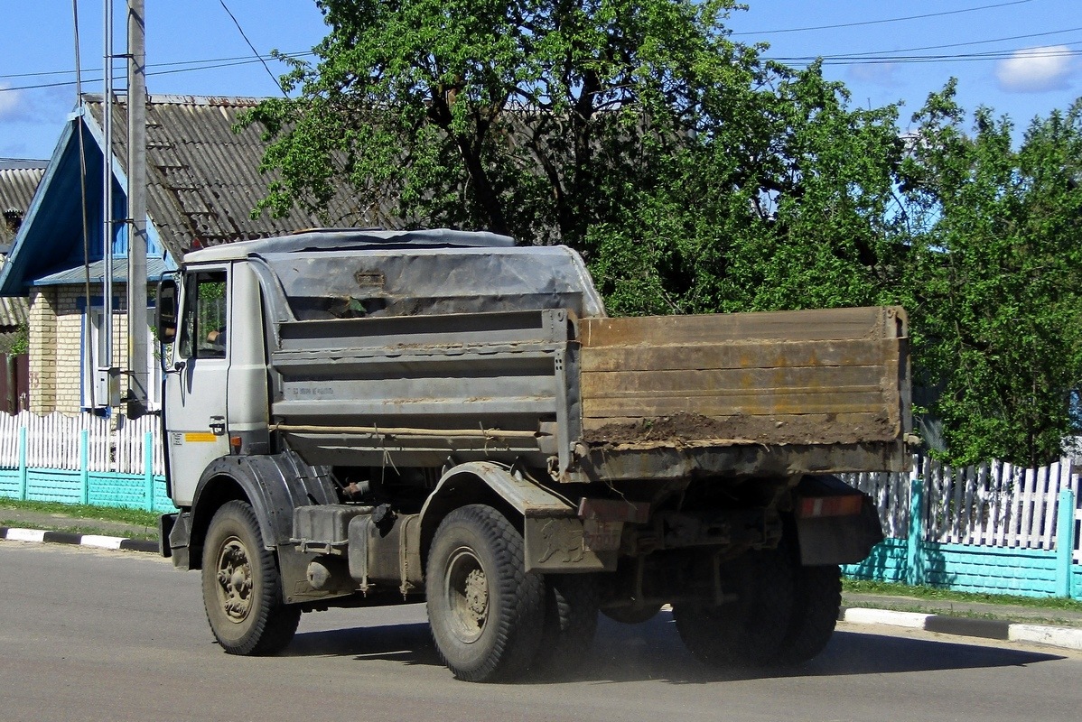 Могилёвская область, № ТЕ 7901 — МАЗ-5551 (общая модель)