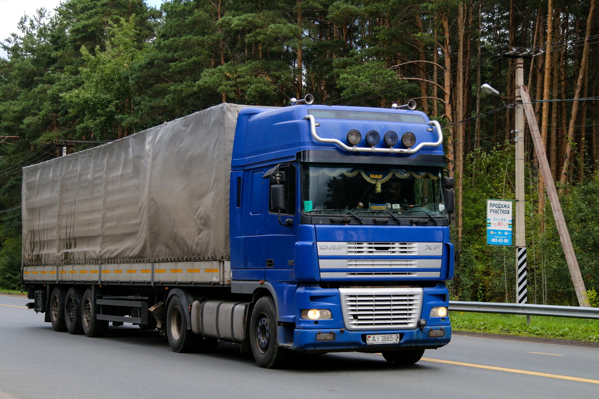 Витебская область, № АІ 3665-2 — DAF XF95 FT