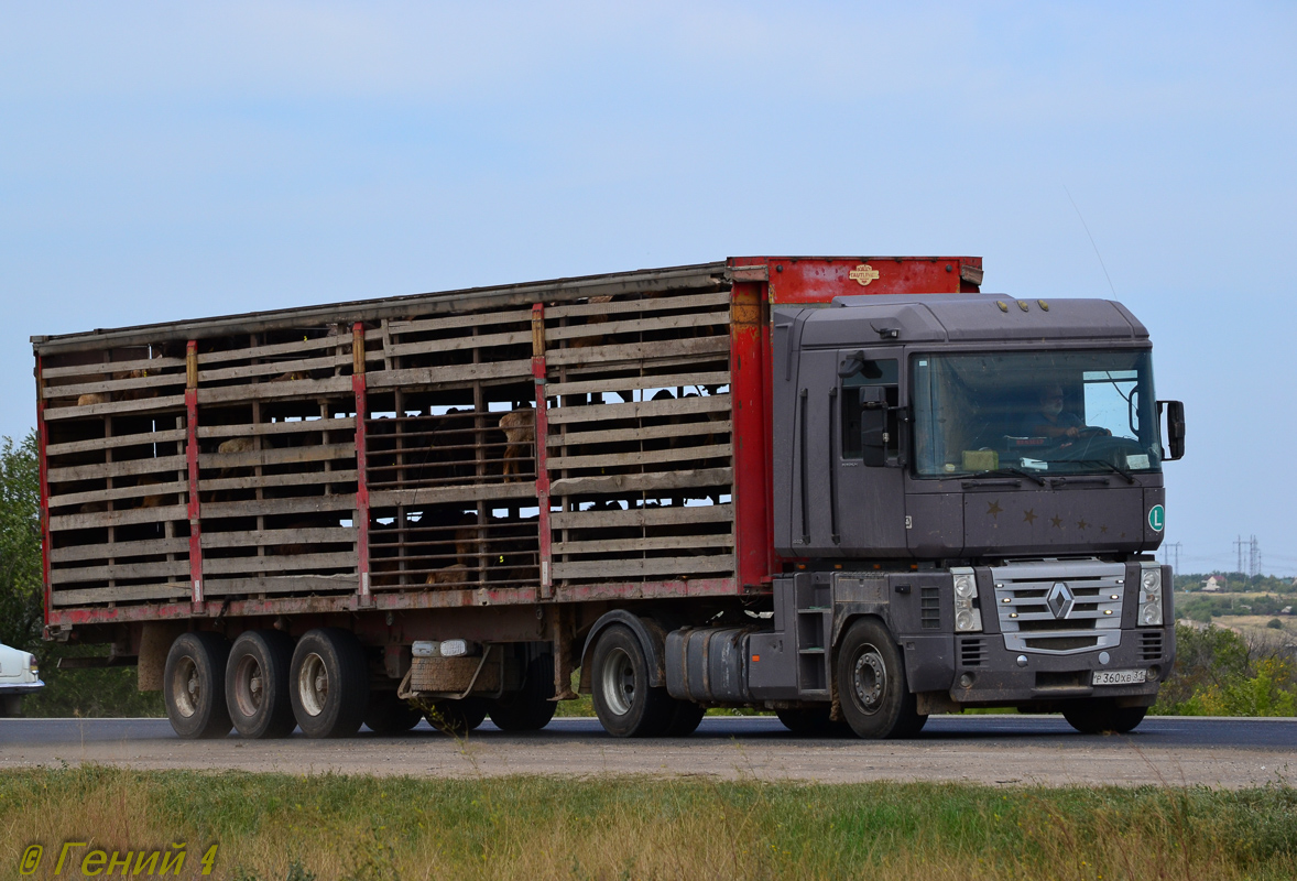 Белгородская область, № Р 360 ХВ 31 — Renault Magnum E-Tech ('2001)