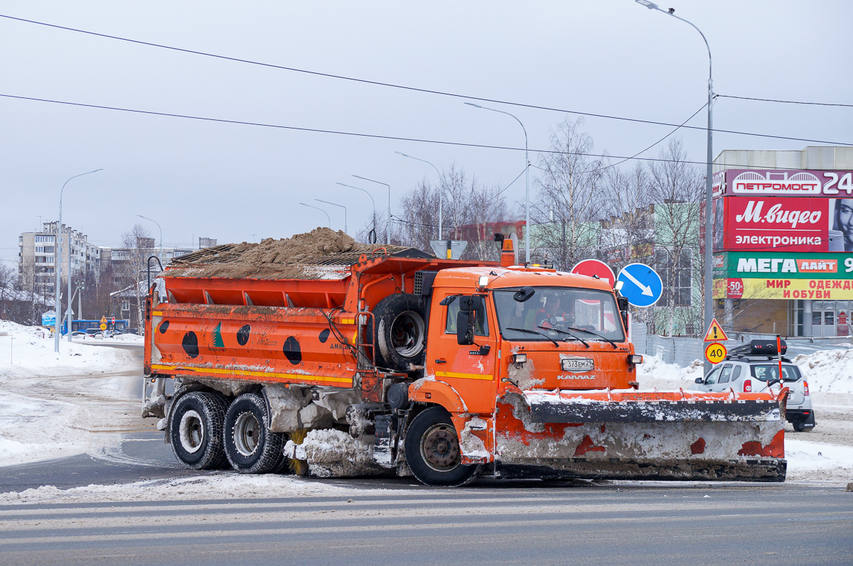 Архангельская область, № О 373 ЕМ 29 — КамАЗ-65115-L4