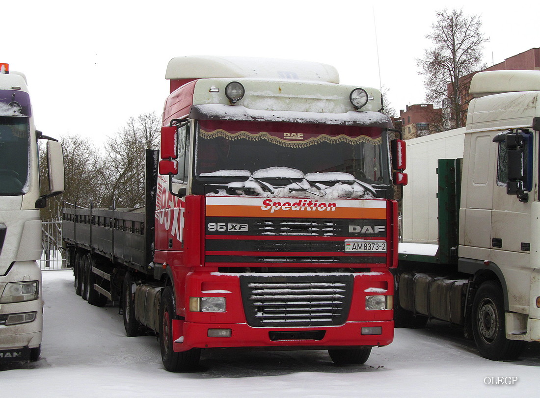 Витебская область, № АМ 8373-2 — DAF 95XF FT