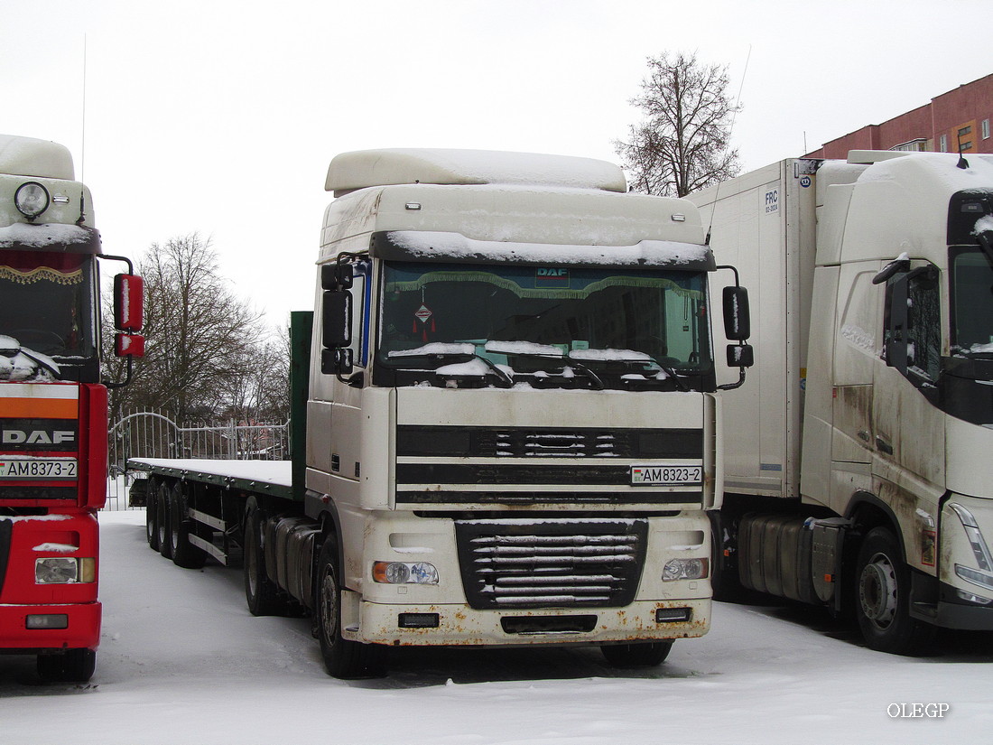 Витебская область, № АМ 8323-2 — DAF XF95 FT