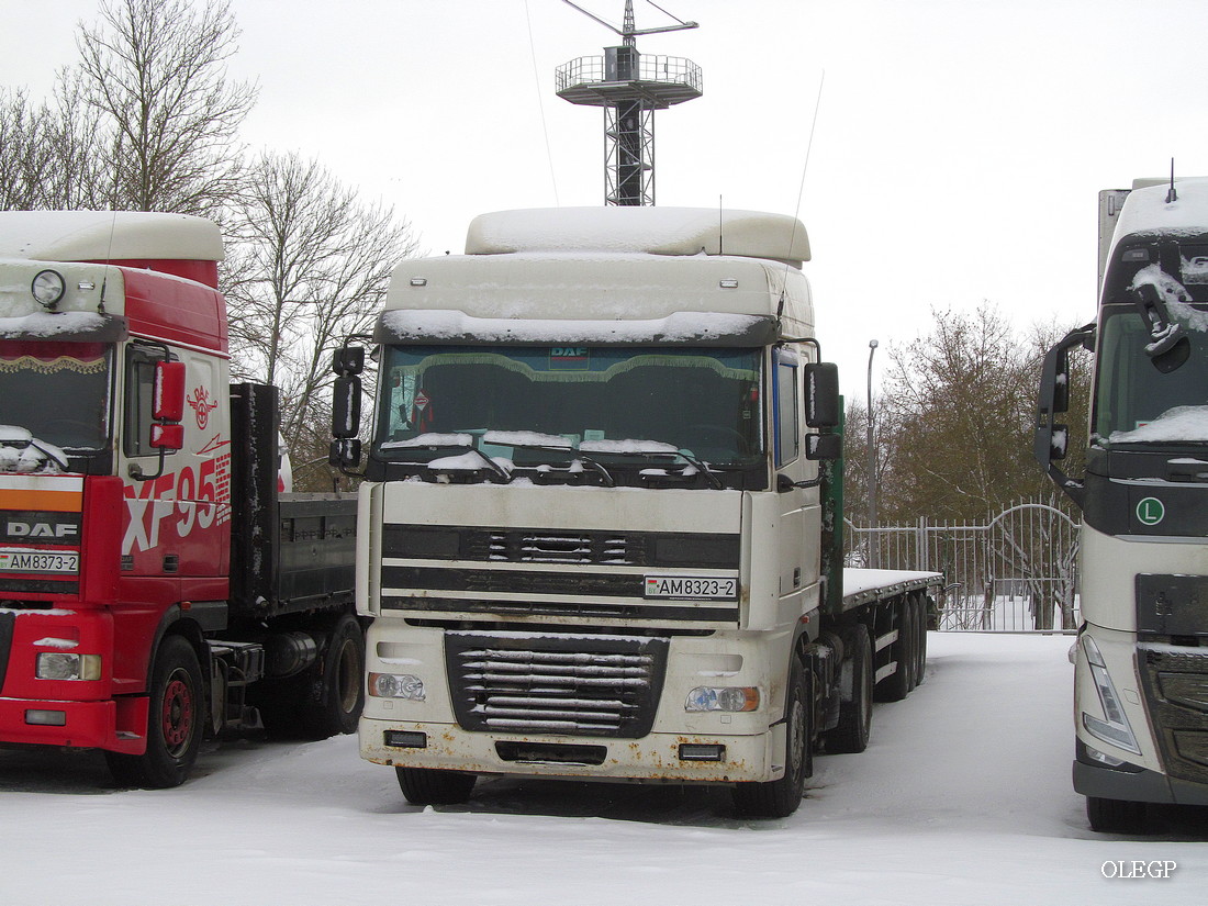 Витебская область, № АМ 8323-2 — DAF XF95 FT