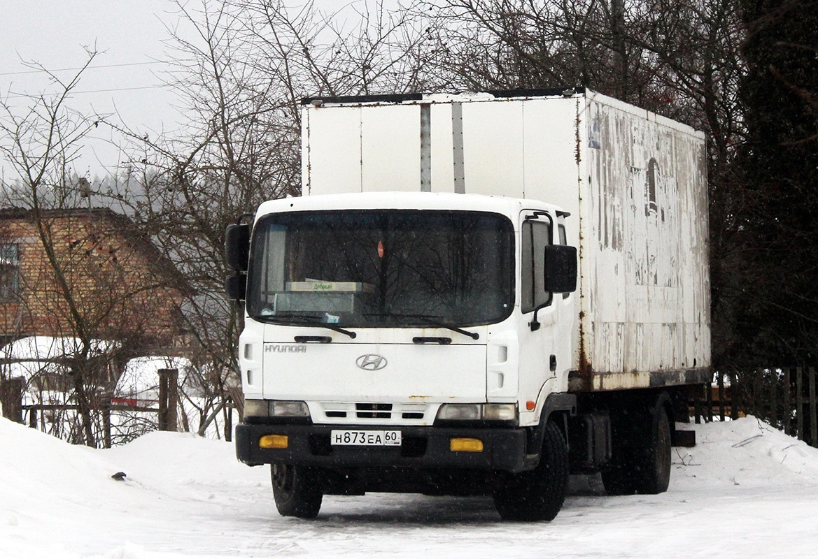 Псковская область, № Н 873 ЕА 60 — Hyundai Super Medium HD120