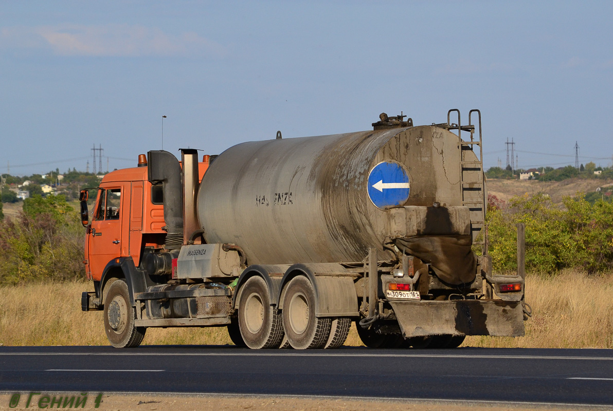 Волгоградская область, № Н 309 ОТ 161 — КамАЗ-65115-62