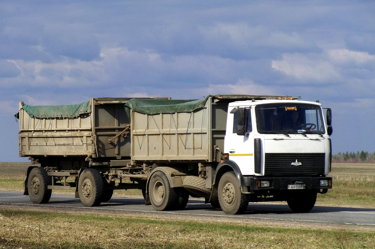 Могилёвская область, № АА 6560-6 — МАЗ-555142