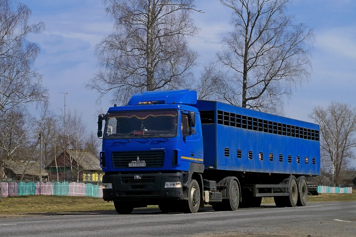 Могилёвская область, № АІ 9063-6 — МАЗ-5440 (общая модель)