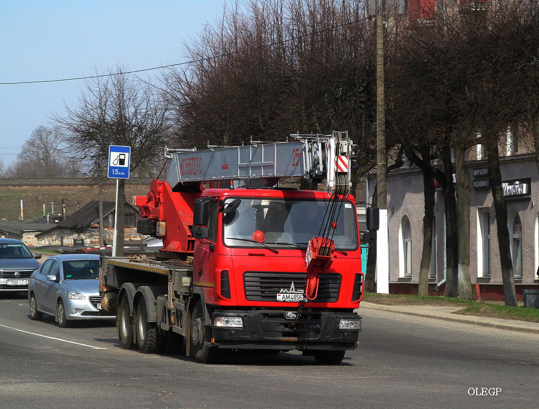 Витебская область, № АМ 4856-2 — МАЗ-6312C3