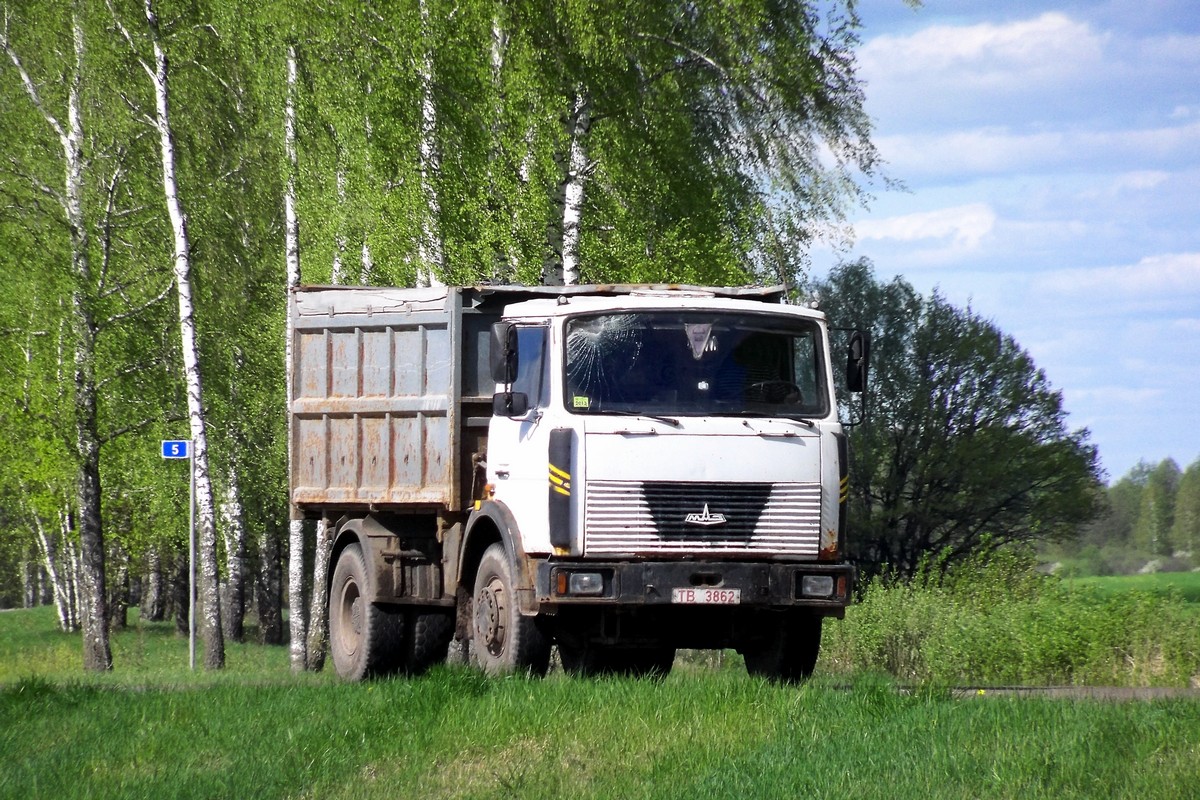 Могилёвская область, № ТВ 3862 — МАЗ-5551 (общая модель)