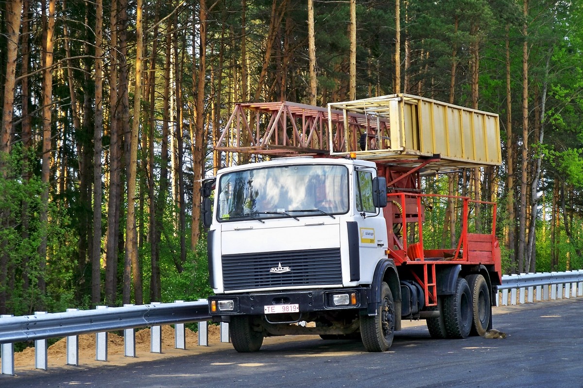 Могилёвская область, № ТЕ 9819 — МАЗ-6303 (общая модель)